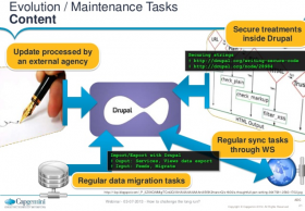 Evolution/Maintenance Tasks